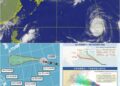 影音/白海豚游向變數仍大 估這時候接近臺灣北部海面