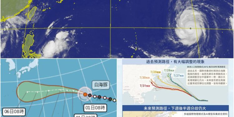 影音/白海豚游向變數仍大 估這時候接近臺灣北部海面