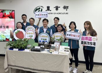 ICM技術從優質草莓種苗供應顯著提升產量 草莓農友收入增加2.5倍 苗補植率下降57%