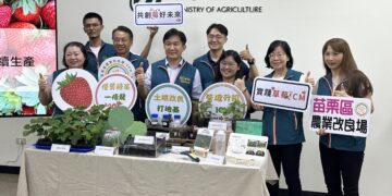 ICM技術從優質草莓種苗供應顯著提升產量 草莓農友收入增加2.5倍 苗補植率下降57%