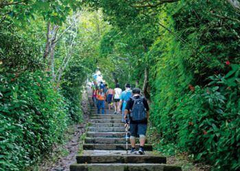 2026觀音觀鷹再觀櫻秋季登場 歡迎遊客走進觀音山感受自然生態之美