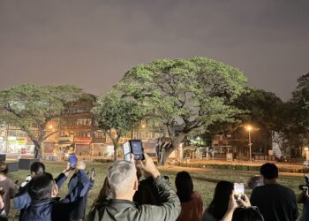 阿里港之月9月19日浪漫登場 邀親子相約里港河濱公園
