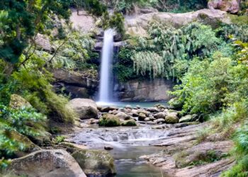 連假走進山林 走訪圓潭瀑布、植物園再享山產美食