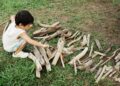 【海洋、藝術、永續】高雄觀光局「津之森 海風散策」09/19、09/20 掀秋季旅遊新浪潮