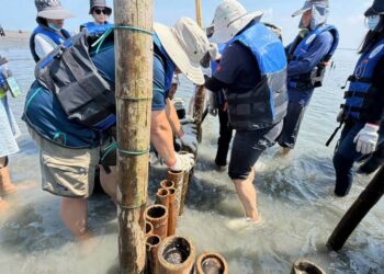 「沙」出重圍、「嘉」倍護岸 嘉義縣攜手各界實作固砂守護外傘頂洲