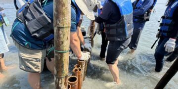 「沙」出重圍、「嘉」倍護岸 嘉義縣攜手各界實作固砂守護外傘頂洲