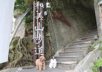 新北動保處推671家寵物友善店家及10大旅遊路線