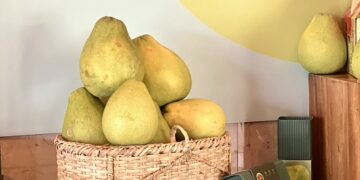 柚香迎客 美侖大飯店攜手推廣花蓮文旦柚
