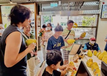 茂管處邀您一起中秋來「彩柚」,新威、茂林、禮納里三大遊客中心歡樂登場 柚子彩繪體驗增添節慶樂趣