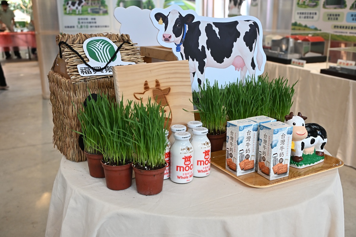 bhaNTaBKW5Z5FL8ioCTo