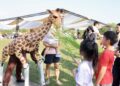 2026藝術進區首場仁德登場　黃偉哲邀親子跟著藝術走訪台南