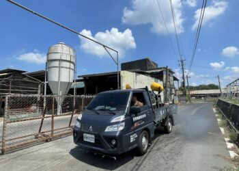 屏東養豬場落實生物安全 源頭降低疫病風險
