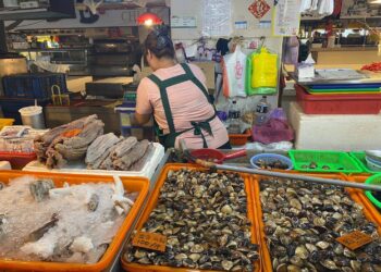 社工長期陪伴東港魚販媽 市場攤商看見展望會服務落地 偕家人資助6名兒童 用愛溫暖更多角落