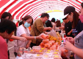 秋日甜蜜登場 嘉義番路柿子節盛大開跑