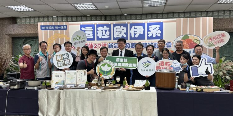 花蓮27號新品種稻 提升品質抗病增產13.5％