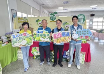 115年度彰化縣優質番石榴評鑑競賽 農友齊聚溪州爭奪優質番石榴桂冠