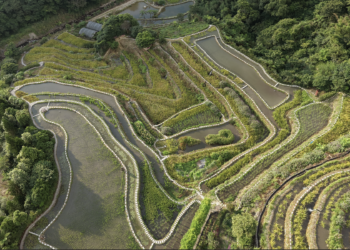 新北市觀旅局十月舉辦山林展演　邀請民眾漫步青山瀑布與嵩山梯田