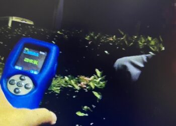 路中昏睡見警驚醒狂逃!前鎮警沉著尾隨2公里 強勢攔下「移動炸彈」