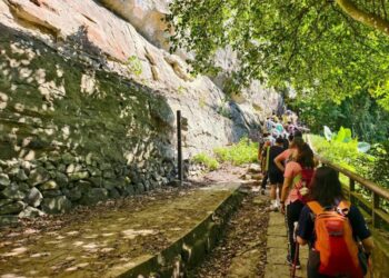 把山林當教室!台灣慈善會帶逆境兒少勇闖仙山