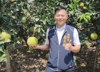 影音/時序進入霜降白柚進入盛產期  二水鄉農會邀民品嘗在地白柚好滋味